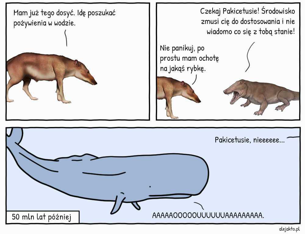 Pakicetus, przodek wielorybów