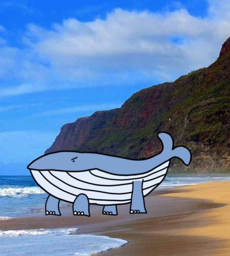Skąd wzięły się wieloryby (i co je łączy z hipopotamami)?