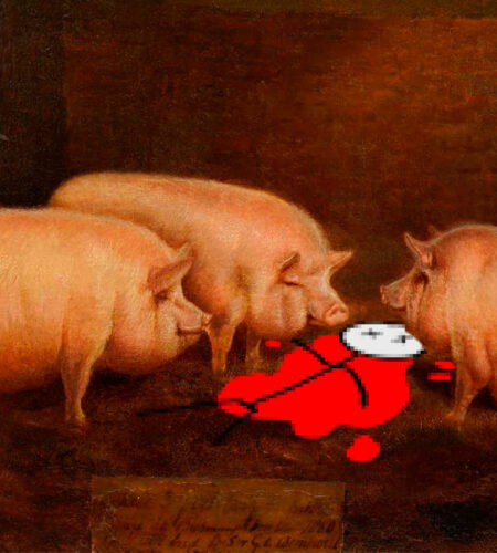 Czy świnie to dobry sposób na pozbycie się zwłok?